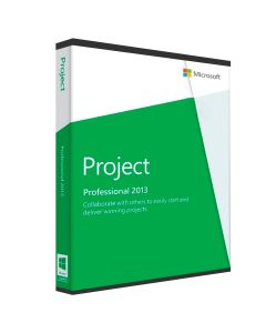 Microsoft Project 2013 Professional	