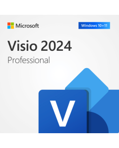 Microsoft Visio Professional 2024
