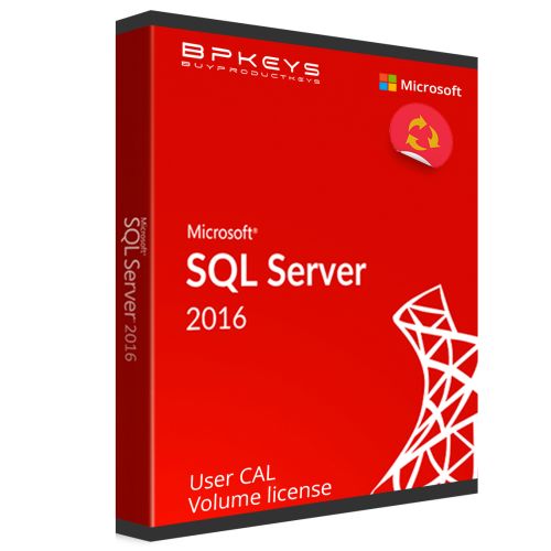 Microsoft SQL Server 2016 User CAL Volume license