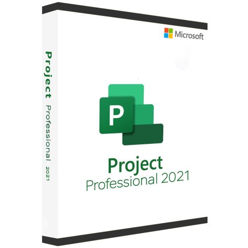 Microsoft Project 2021 Professional	