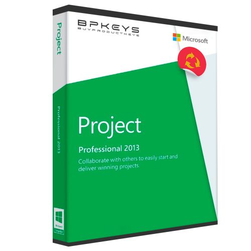 Microsoft Project 2013 Professional	