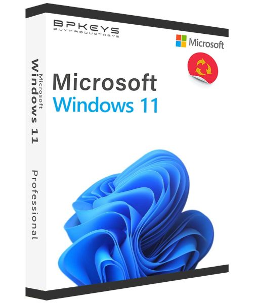 Windows 11 Édition Professionnelle