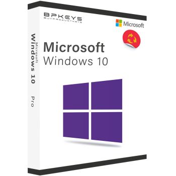Windows 10 Professional Edition
